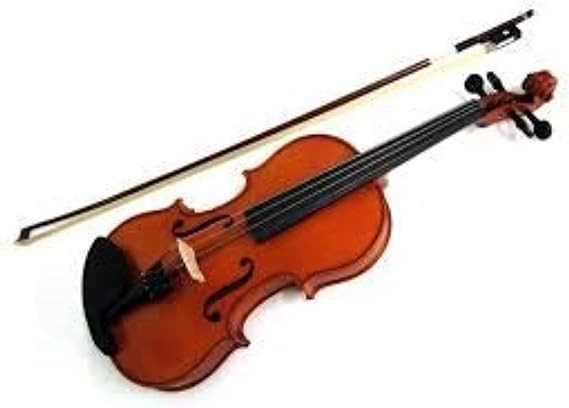 Violin Kit Full Size 4/4 Vintage Solid Wood Violin for Beginner Above 11 Years With Case